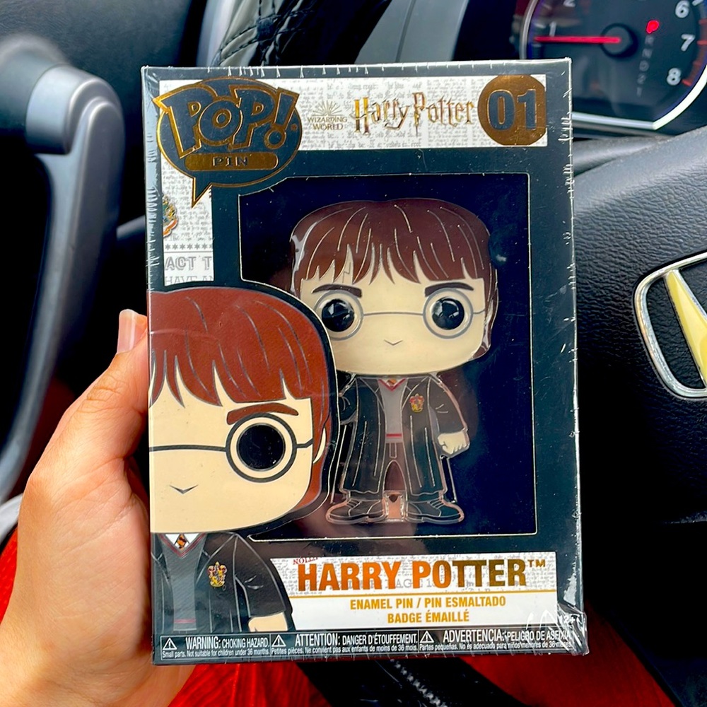 Harry Potter POP Pin